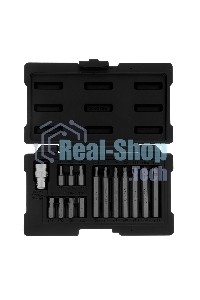 Набор бит TORX, хвостовик-шестигранник, 10 мм, CrV, 15 предм. Stels