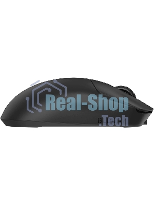 Мышь беспроводная/проводная A4tech Bloody R77UltraDock черный, 20000 dpi, USB Type-A, радиоканал, кнопки - 5
