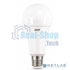 Лампа светодиодная LED Gauss Elementary A67 35Вт E27 4100К