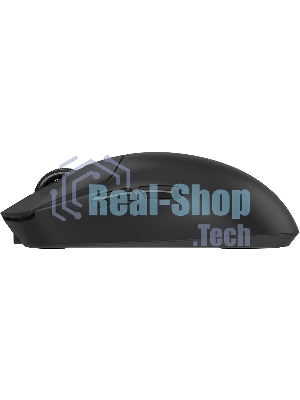 Мышь беспроводная/проводная A4tech Bloody R77UltraDock черный, 20000 dpi, USB Type-A, радиоканал, кнопки - 5