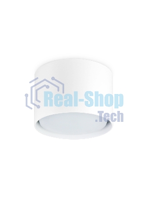 Светильник Ambrella light TN5301 WH белый GX53 D84*60