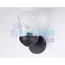 Светильник Ambrella light ST2081 BK/CL черный/прозрачный IP54 E27 max 40W 260*150*185