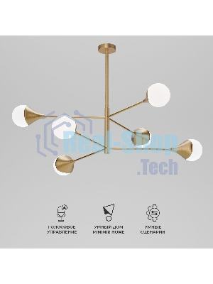60168/6 / потолочный светильник / латунь Smart