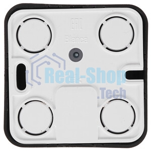 Розетка компьютерная 2-ая компьютерная RJ45, кат.5E, изол. пластина SE Blanca наруж Антрацит