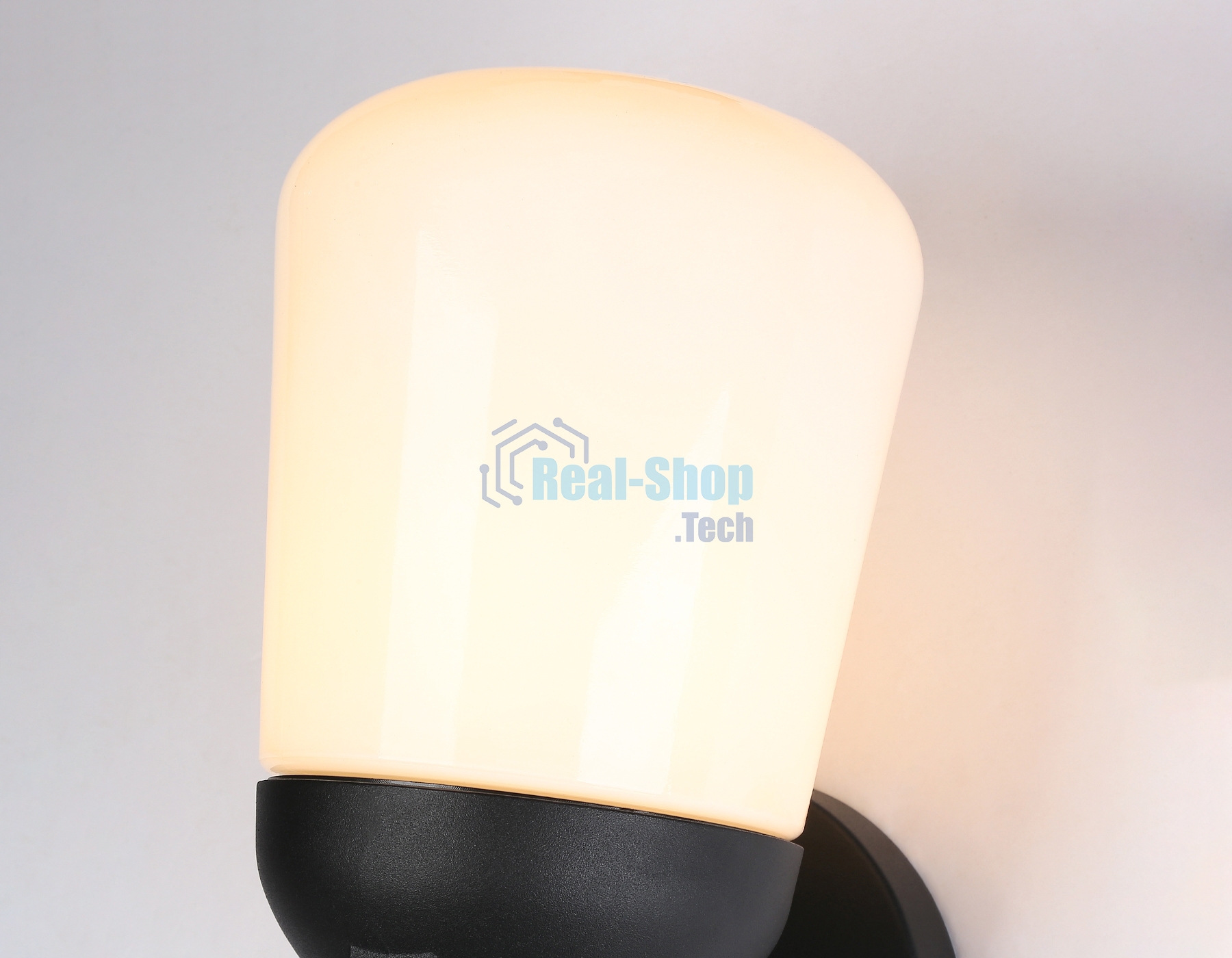 Светильник Ambrella light ST2083 BK/FR черный/белый матовый IP54 E27 max 40W 260*150*185