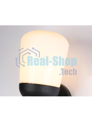Светильник Ambrella light ST2083 BK/FR черный/белый матовый IP54 E27 max 40W 260*150*185
