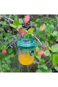 Ловушка для ос Rexant на солнечной батарее