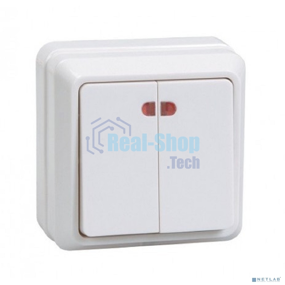 Выключатель 2-кл. ОП ОКТАВА с инд. 10А IP20 ВС20-2-1-ОБ белый ИЭК EVO21-K01-10-DC