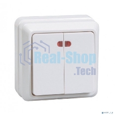 Выключатель 2-кл. ОП ОКТАВА с инд. 10А IP20 ВС20-2-1-ОБ белый ИЭК EVO21-K01-10-DC