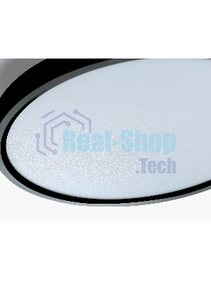 Потолочный светодиодный светильник Ambrella light FZ3050 BK черный IP44 24W+10W 6400+6400К D300*40 (Без ПДУ)