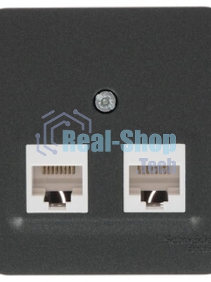 Розетка компьютерная 2-ая компьютерная RJ45, кат.5E, изол. пластина SE Blanca наруж Антрацит