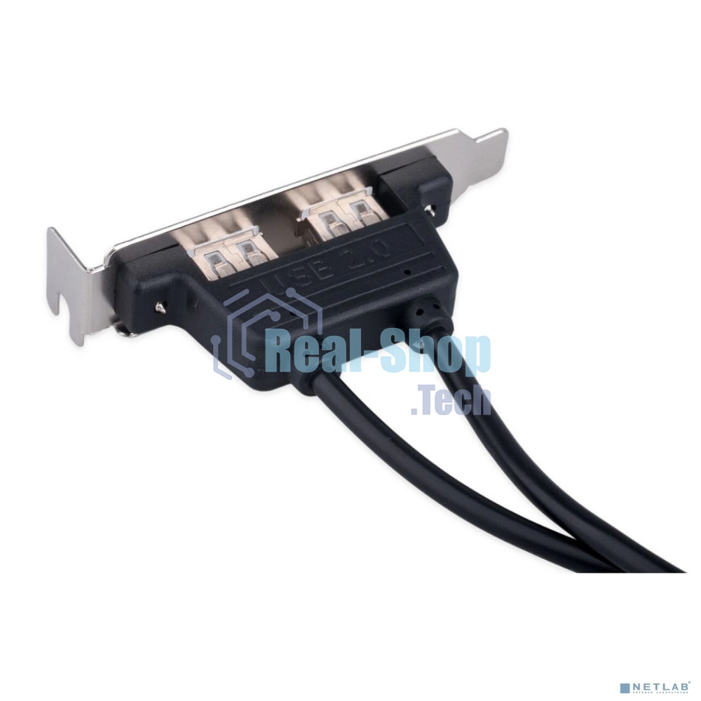Планка USB 2.0 на заднюю панель низкопрофильная Cablexpert CCUSBRECEPTACLE-LP, 2 порта USB