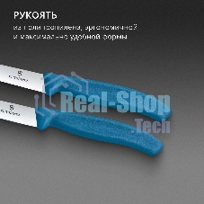 Набор ножей Victorinox Swiss Classic 6.7792.2C1 компл.: 2предм. синий европодвес