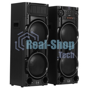 Колонка Eltronic 08