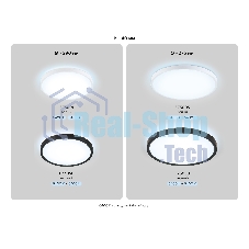 Потолочный светодиодный светильник Ambrella light FZ3050 BK черный IP44 24W+10W 6400+6400К D300*40 (Без ПДУ)