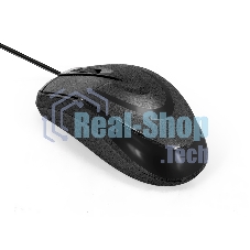 Мышь проводная ExeGate Professional Standard SH-8025 OEM черный, 1000 dpi, USB, кнопки - 3