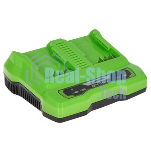 Зарядное устройство Greenworks G24X2UC2, 24V (2931907)