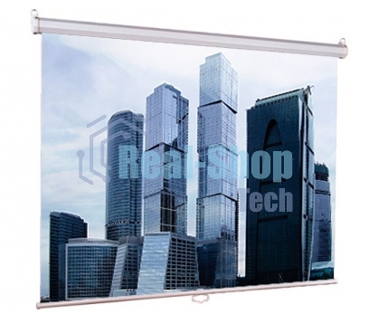 Экраны LUMIEN Eco Picture LEP-100101, 150х150 см, 1:1