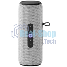 Умная колонка Яндекс Станция Стрит с Алисой, портативная, модель YNDX-00030GRY (серый)