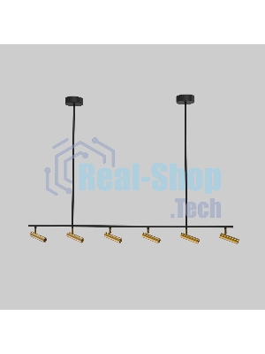 20252/6 LED / потолочный светильник / черный/латунь