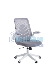 Кресло офисное для оператора Chairman CH565 серый, белый пластик