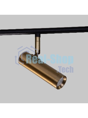 20252/6 LED / потолочный светильник / черный/латунь