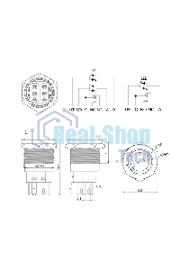 Кнопка антивандальная Rexant Ø19 250В Фикс (5с) ON-OFF/OFF-ON подсв/зеленая