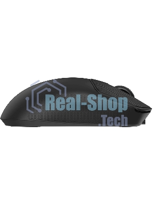 Мышь беспроводная/проводная A4tech Bloody R77UltraDock черный, 20000 dpi, USB Type-A, радиоканал, кнопки - 5