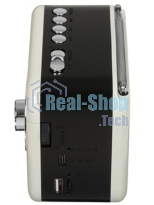 Радиоприемник Ritmix RPR-033 белый