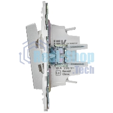 IEK SKANDY Серебряный Выключатель 2-клавишный 10А SK-V04S