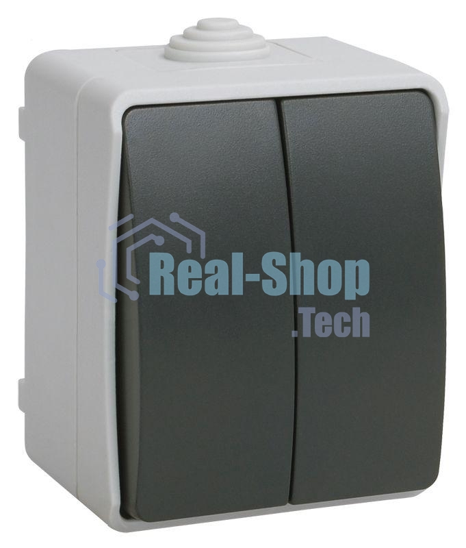 Выключатель 2-кл. ОП ФОРС 10А IP54 сер. ВС20-2-0-ФСр ИЭК EVS20-K03-10-54-DC