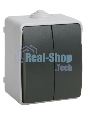 Выключатель 2-кл. ОП ФОРС 10А IP54 сер. ВС20-2-0-ФСр ИЭК EVS20-K03-10-54-DC