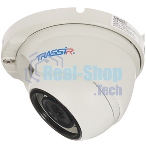 IP-камера TRASSIR TR-D2S5 v3 3.6