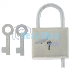 Замок навесной-контрольный, цинк, (Металлист)