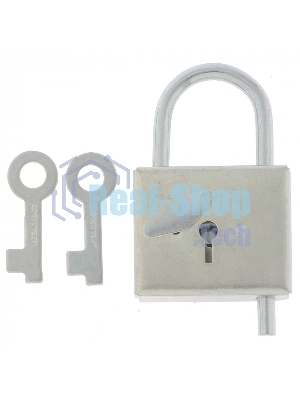 Замок навесной-контрольный, цинк, (Металлист)