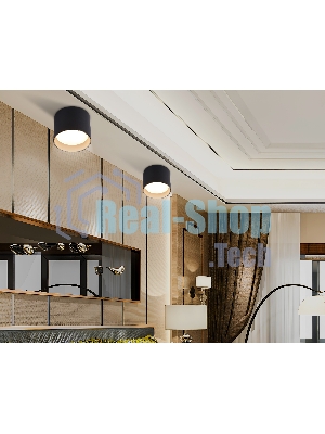 Светильник Ambrella light TN5306 BK/GD черный/золото GX53 max 15W D83*65