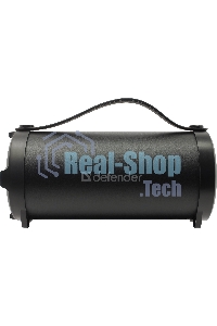 Акустическая система 1.0 Defender G24