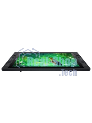 Графический монитор Huion Kamvas Pro 20 (2019), 19.5