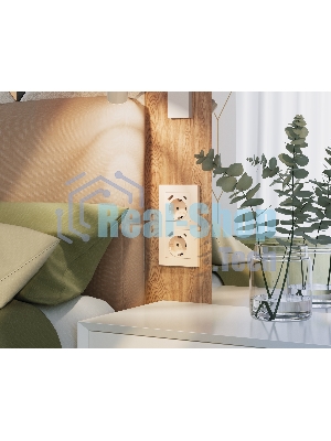 Комплект механизма электрической розетки ALFA Бежевый глянец 2USB A+C 20W (быстрая зарядка) с/з QUANT (AP3100, VM160) MA310010