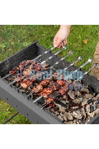 Шампуры с чехлом 45 см (6 шт.) Camping Palisad