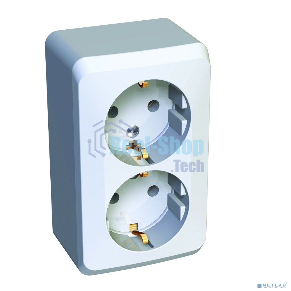 Розетка 2-м ОП Этюд 16А с заземл. белый SchE PA16-007B