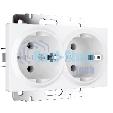 Розетка двойная с заземлением Werkel W1172061 (белый матовый)