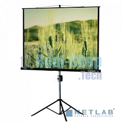 Экран на треноге Lumien 153x203см Master View LMV-100107 4:3 напольный рулонный