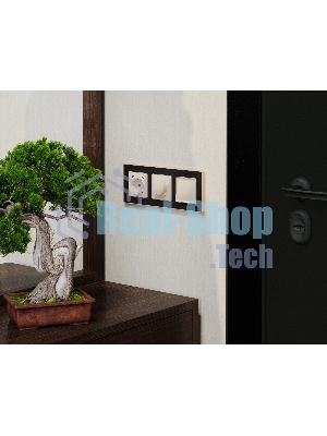 Комплект механизма электрической розетки 2USB С+C 20W с/з на винтовых зажимах 16A-250V ALFA Бежевый глянец QUANT (AP3105, VM165) MA310510