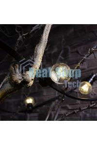 Гирлянда Neon-night LED Galaxy Bulb String 10м, черный каучук, 30 лампx6 LED теплый белый, влагостойкая IP65