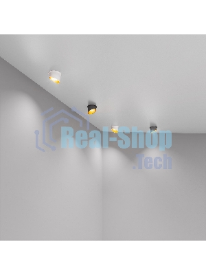 Светильник Elektrostandard встраиваемый 7005 MR16 / WH/GD белый/золото a040981