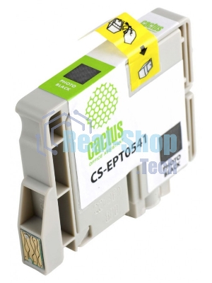 Картридж струйный Cactus CS-EPT0541 черный (16,2 мл) для Epson Stylus Photo R800/R1800