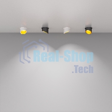 Светильник Elektrostandard встраиваемый 7005 MR16 / WH/GD белый/золото a040981
