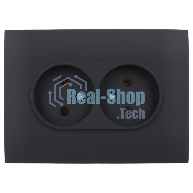 Розетка 2-местная IEK SKANDY SK-R10G 10А (SK-R20-10-K53-F) без заземления, без защитных шторок, 10А в сборе, графит