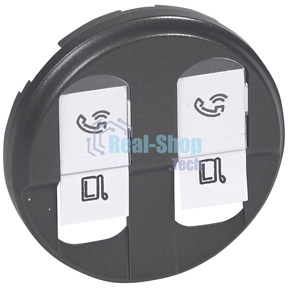 Лицевая панель двойной розетки RJ45, графит
